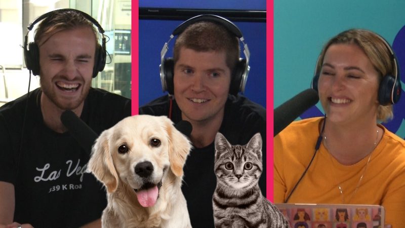 Is Producer Dan a pussy or puppies guy?
