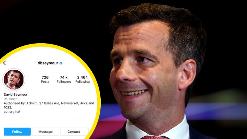 David Seymour denies buying 'sex bot' Insta followers after numbers spike