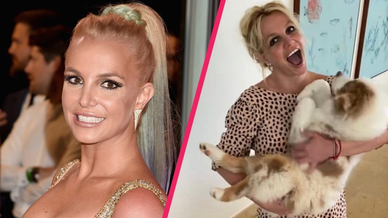 Britney Spears revealed the reason she ditched the Met Gala and it's a huge mood