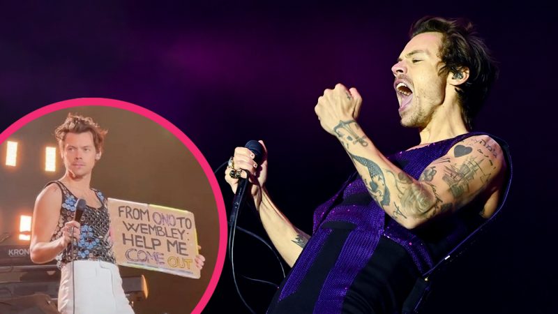 'You are a free man': Harry Styles helps an Italian fan come out mid-concert