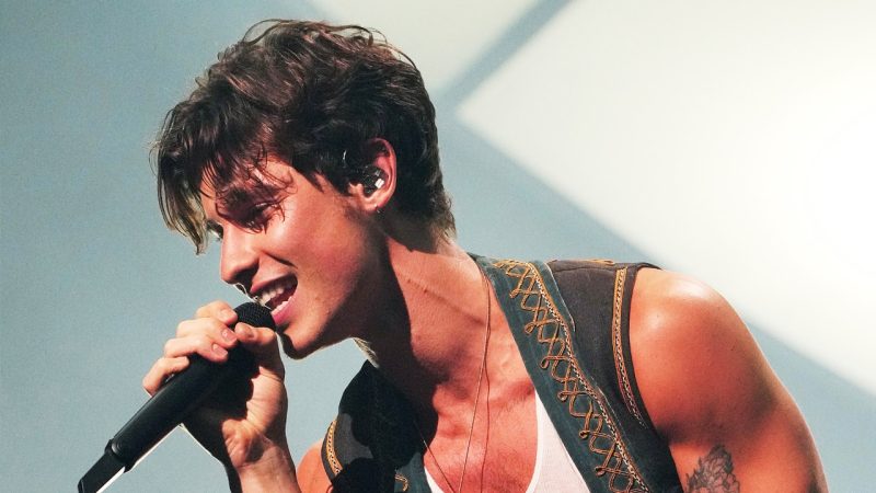 Shawn Mendes has been with his loved ones  and "doing therapy" since postponing world tour