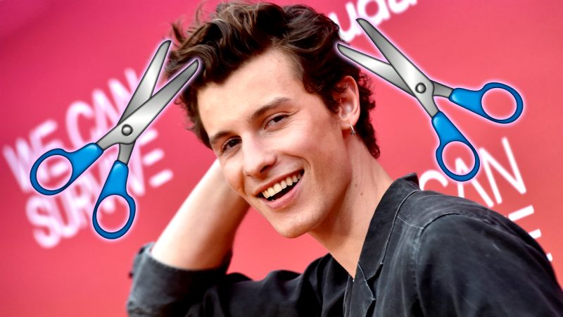 Shawn Mendes has entered 2023 with a totally buzzed hairdo and fans are stressing tf out