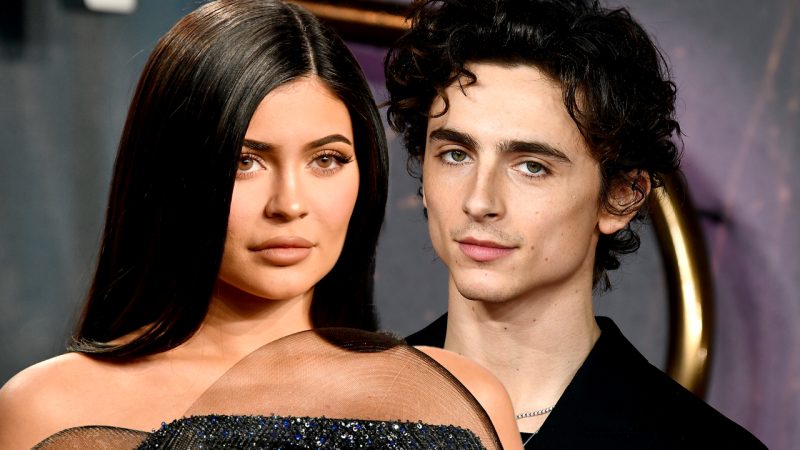 'She's having a lot of fun': Kylie Jenner and Timothée Chalamet 'confirmed' to be dating