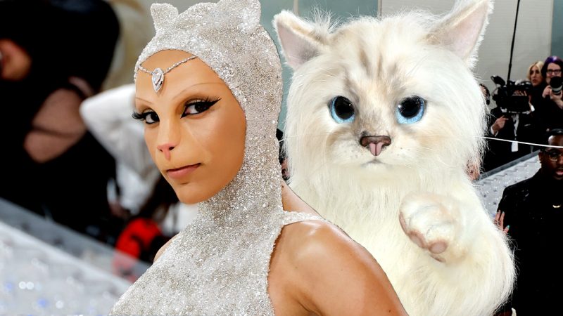 Doja Cat is an actual cat at the MET Gala 2023, but who TF is in the full-noise cat costume?
