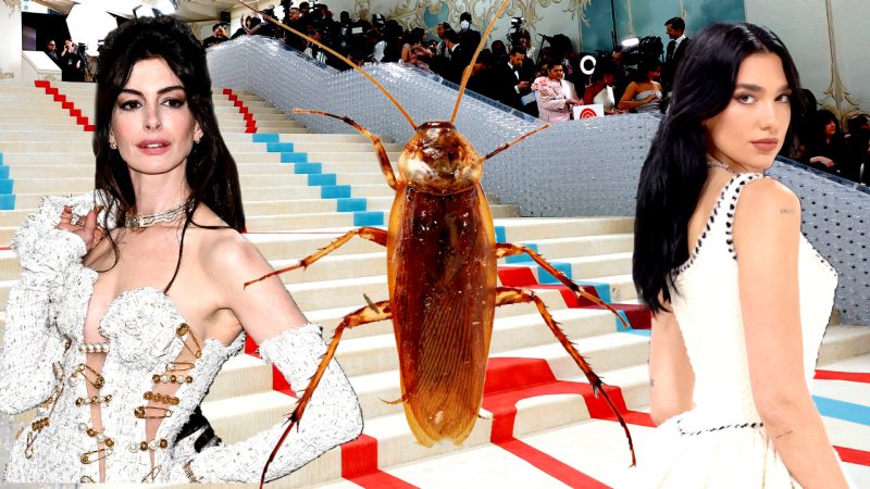 A cockroach slayed the red carpet and almost took out a photographer at the Met Gala 2023