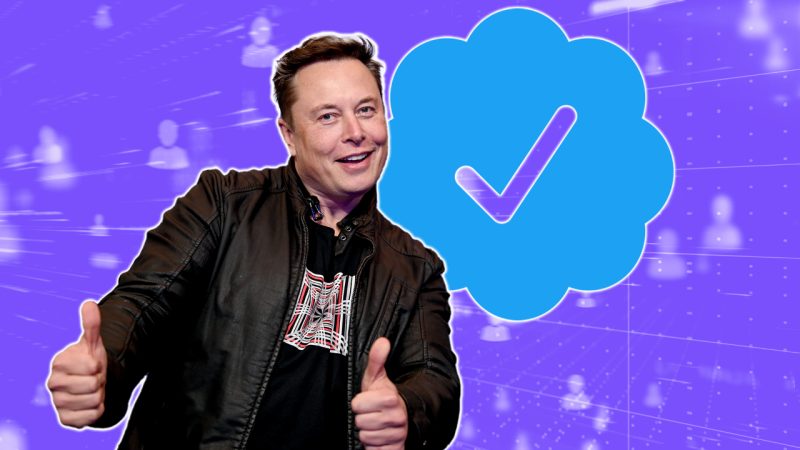 Elon Musk could charge verified Twitter users a heap of cash each year to keep their blue ticks