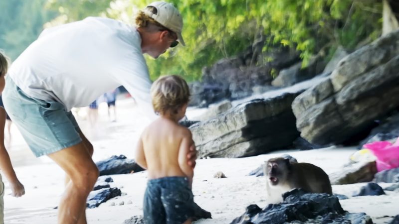 This Aussie guy legit fought off wild monkeys attacking his kids and he is def dad of the year