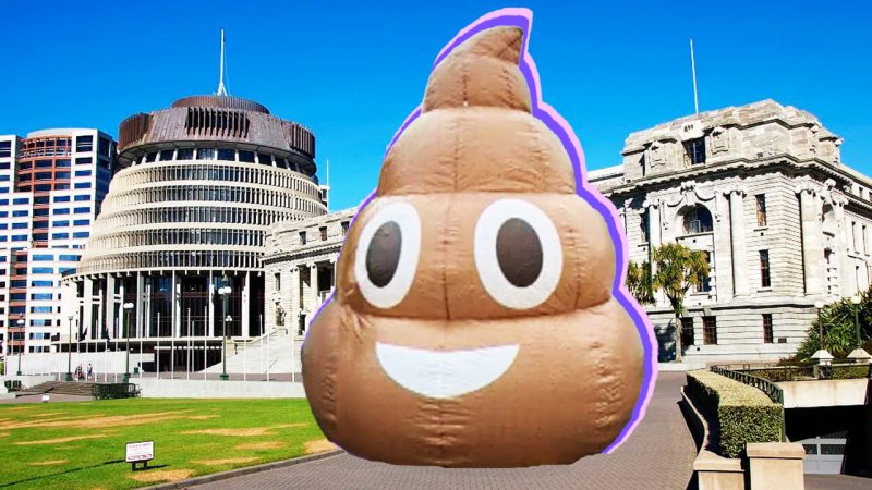 Wellington is getting a giant inflatable poo emoji to bring awareness to a loo-based cause