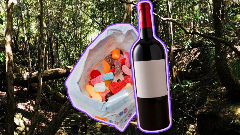 Iconic Aussie gal survives being stranded in bush alone for five days off only lollies and wine