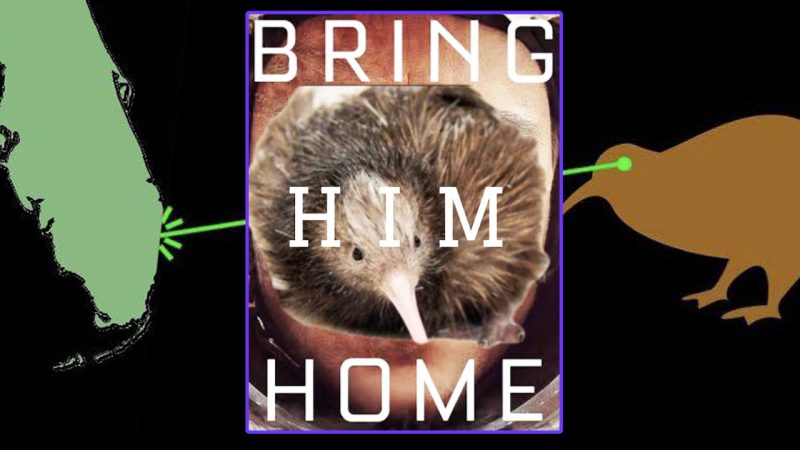 NZers are campaigning to bring mistreated Kiwi Paora home from the US and the memes are amaze