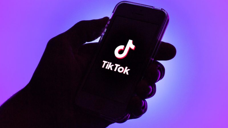 A biz is hiring Professional TikTok Watchers For $160 an hour, so consider this my resignation 