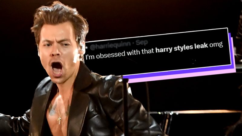 Harry Styles fans are seriously divided over these eight 'leaked' songs that appeared on TikTok