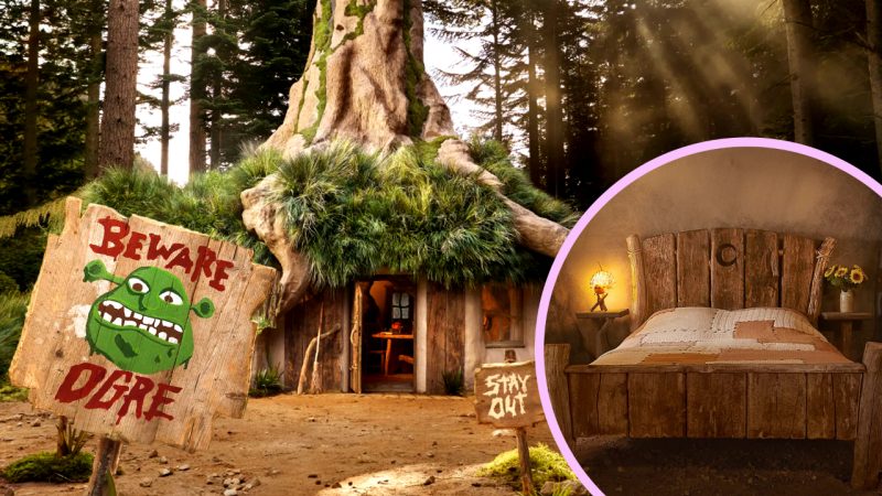 What the Farquaad? You can now spend a night in Shrek's Swamp-inspired AirBnB