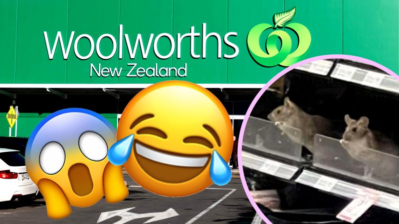 Kiwis reacting to a rat problem in a Dunedin supermarket is the most NZ response ever