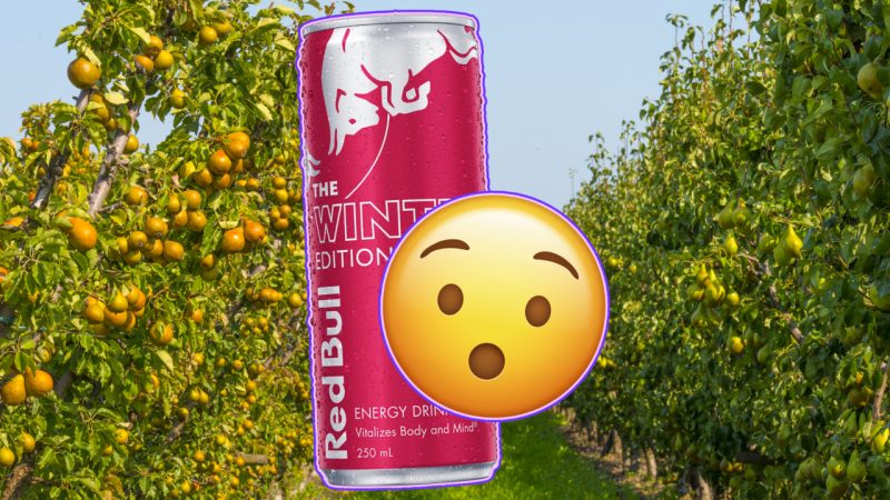 Red Bull’s launched a new limited edition Winter flavour and idk if it's the vibe or not